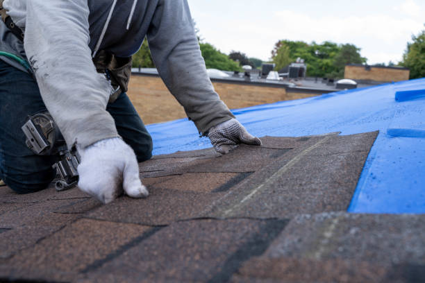 Fast & Reliable Emergency Roof Repairs in Bethany, IL