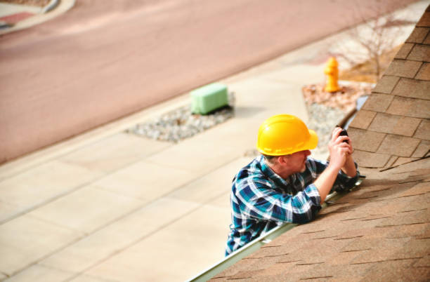 Best Roof Moss and Algae Removal  in Bethany, IL